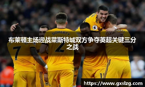 布莱顿主场迎战菜斯特城双方争夺英超关键三分之战